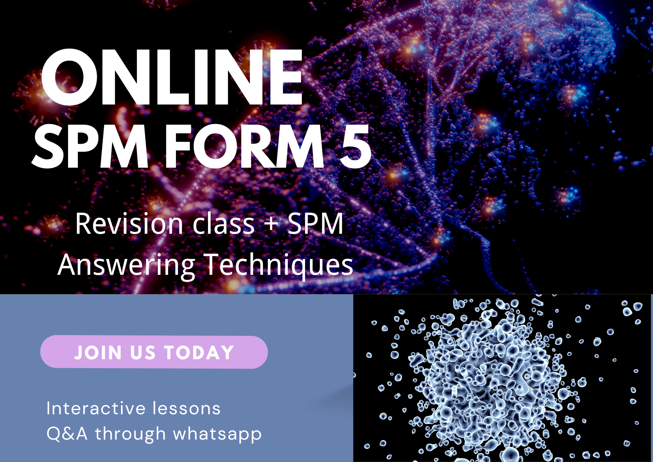F5 SPM Biology Formal Class 中五SPM生物